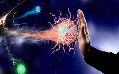 2019_11_6_23_57_56_446