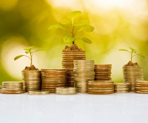 Plant growth on coin pile, business conceptual