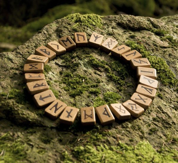 photo_2024-08-04_12-44-32